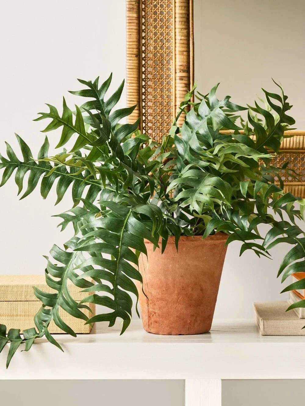 Pottery Barn Faux Potted Trailing Sword Fern